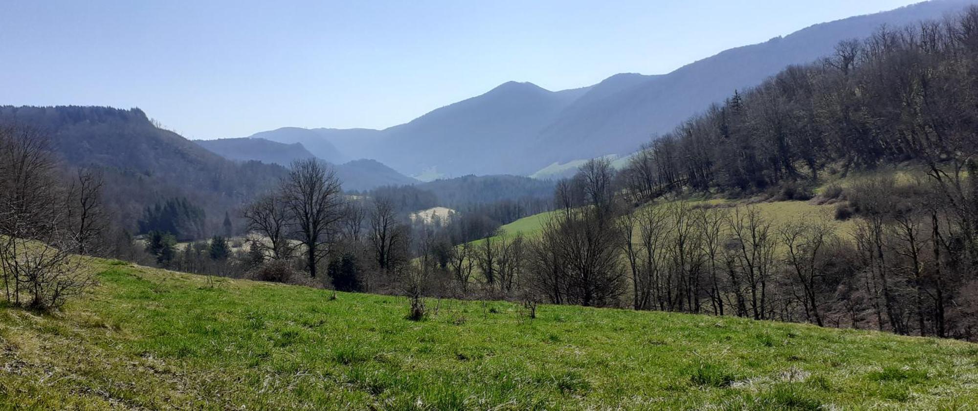 O Joli Bugey Villa Saint-Rambert-en-Bugey Exteriör bild