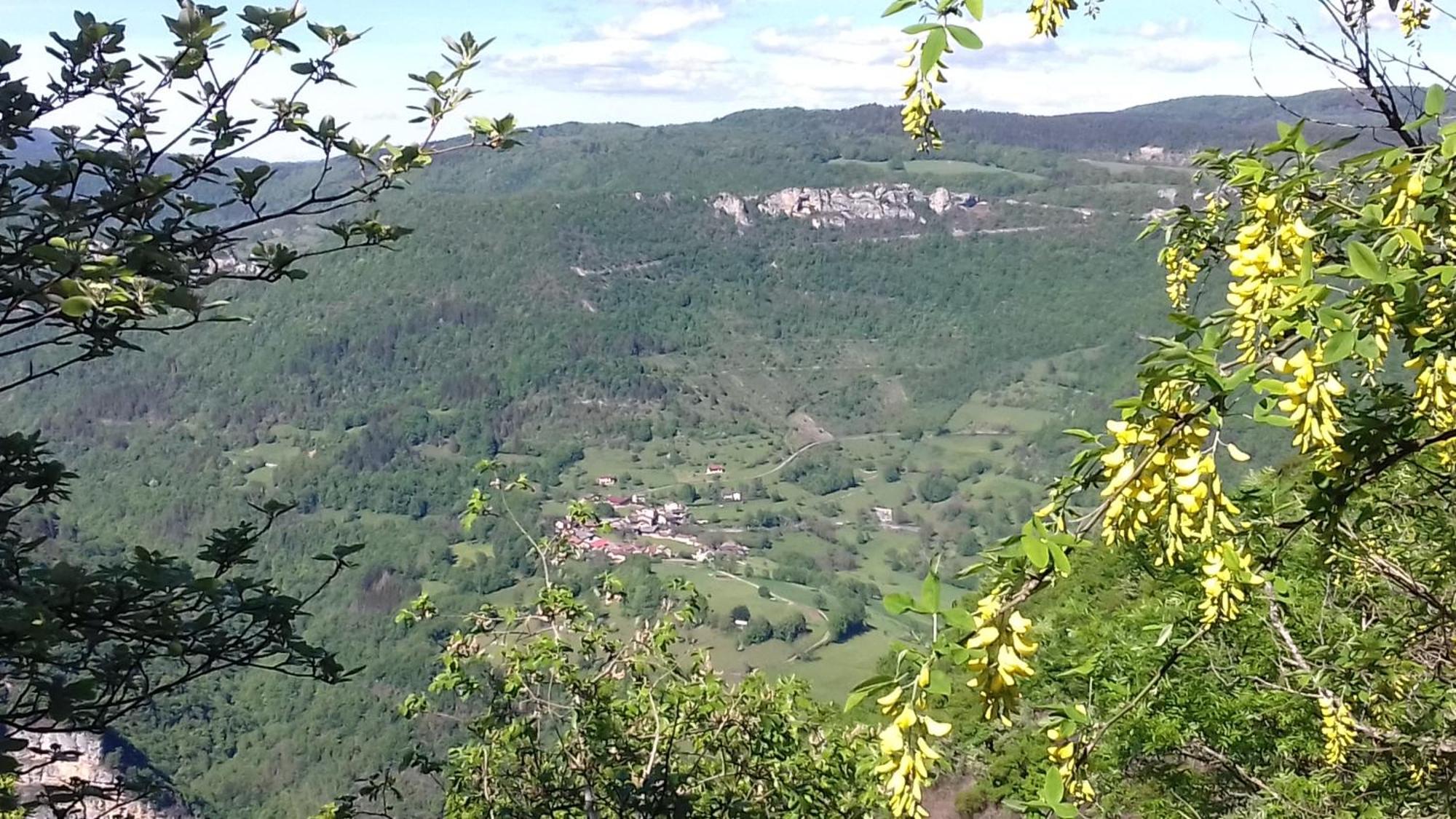 O Joli Bugey Villa Saint-Rambert-en-Bugey Exteriör bild